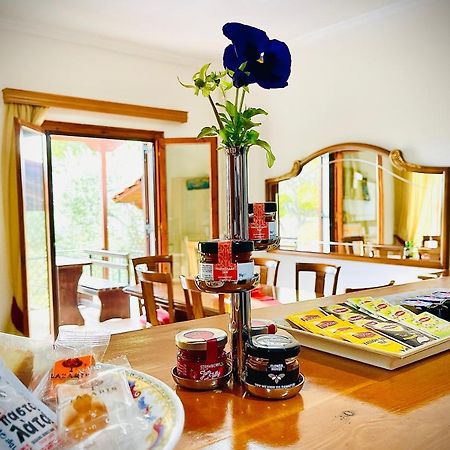 Villa Evita Corfu Dassia  Ngoại thất bức ảnh